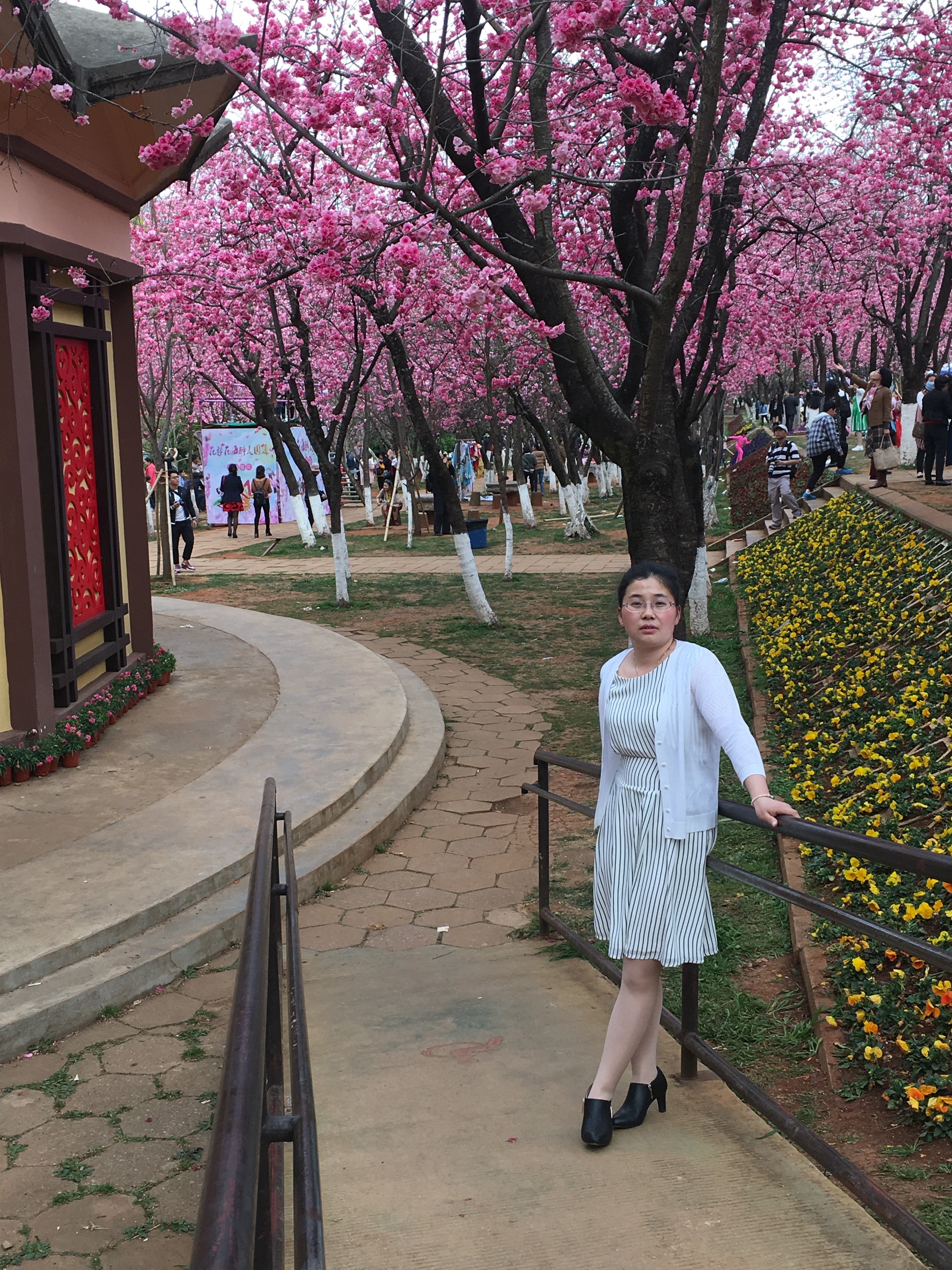 专职辅导员-崔敏晶